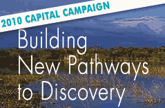 Building new pathways to discovery